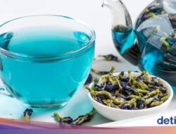 5 Minuman Herbal Ini Cocok Diminum Dari Penderita PCOS