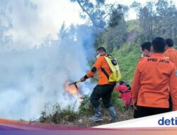 Hutan Bukit Kingkong Kawasan Bromo Terbakar, BPBD Pastikan Api Telah Padam