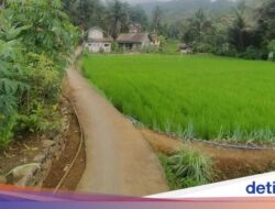 Teror ‘Kuda Gonjreng’ yang Mistis dan Menghantui Warga Ciamis