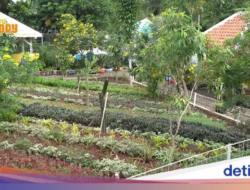 Intip Tempattinggal Mamah Dedeh, Ada Kolam Lele hingga Kebun Anggur