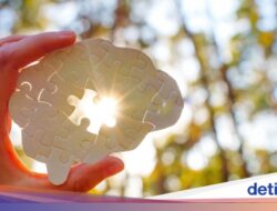 Bukan Cuma Bagi Usus, 6 Minuman Fermentasi Ini Jaga Otak Tetap Sehat