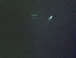 Bentuk-bentuk Misterius Tertangkap Perekamgambar Gadget Lunak Google Earth